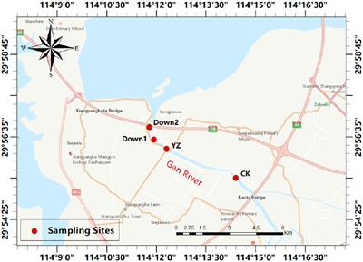 The potential linkage between sediment oxygen demand and microbes and its contribution to the dissolved oxygen depletion in the Gan River